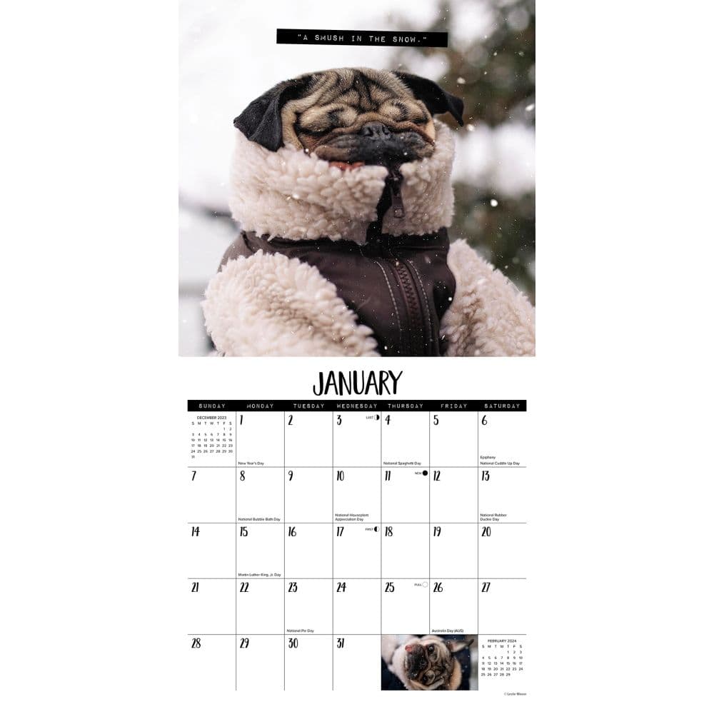 Doug the Pug 2024 Wall Calendar