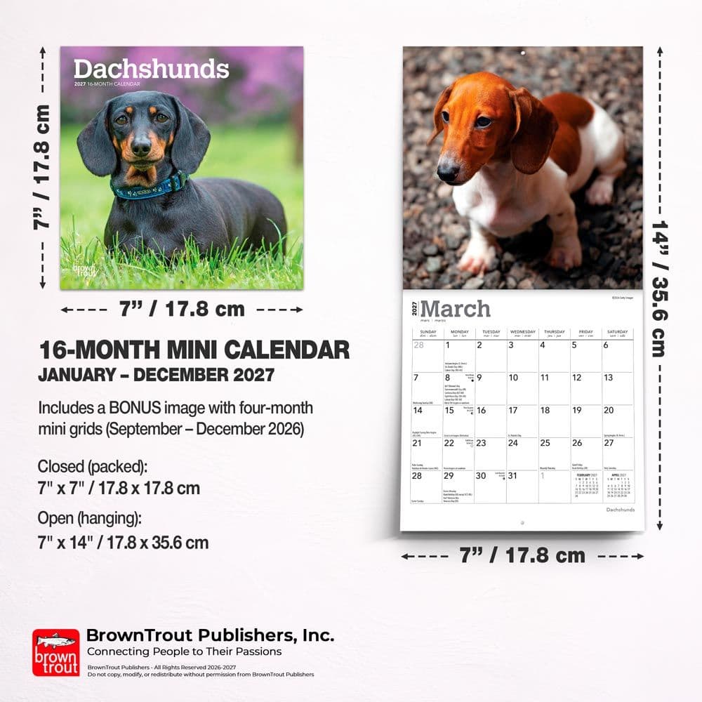 Dachshunds 2027 Mini Wall Calendar Sixth Alternate Image