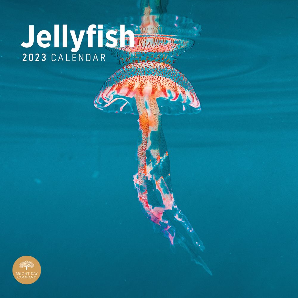 Bright Day Calendars Jellyfish 2023 Wall Calendar