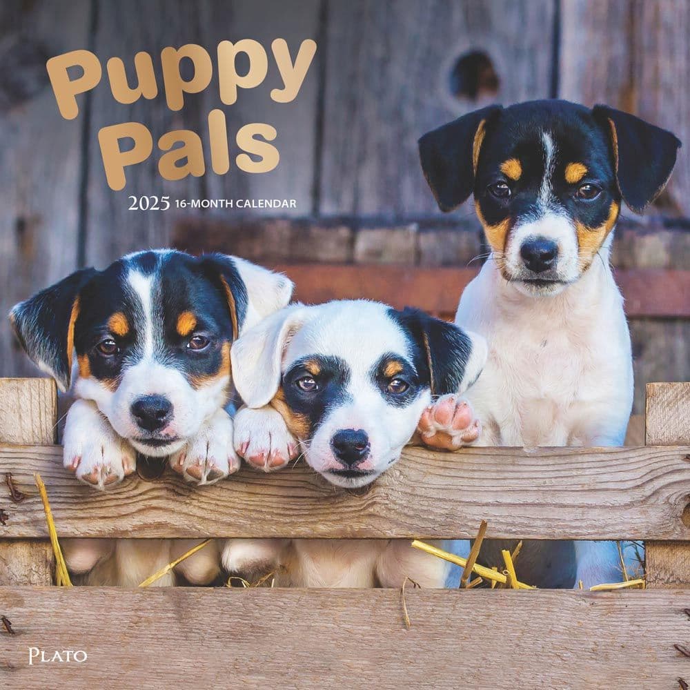 Puppy Pals Plato 2025 Wall Calendar