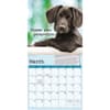 image Dog is Good Fur Wisdom 2026 Wall Calendar Second Alternate Images