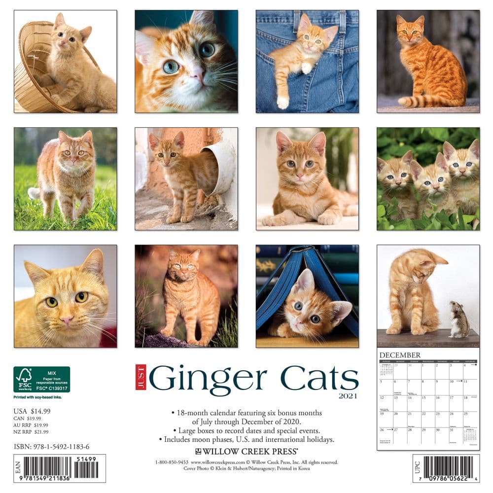 Ginger Cats Wall Calendar