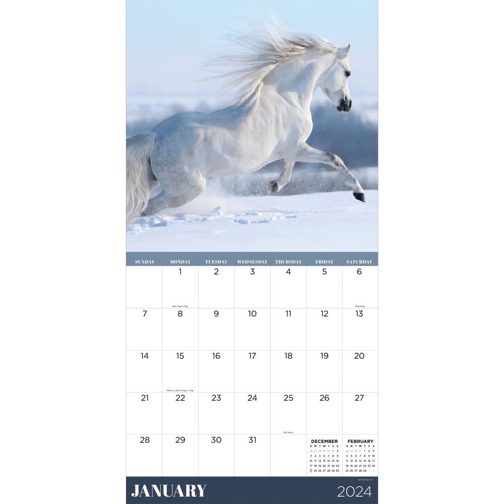 Horses 2024 Wall Calendar Fifth Alternate Image width="1000" height="1000"