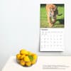 image Tigers 2025 Wall Calendar Fourth Alternate Image