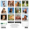 image Horsin Around 2025 Wall Calendar First Alternate Image width="1000" height="1000"