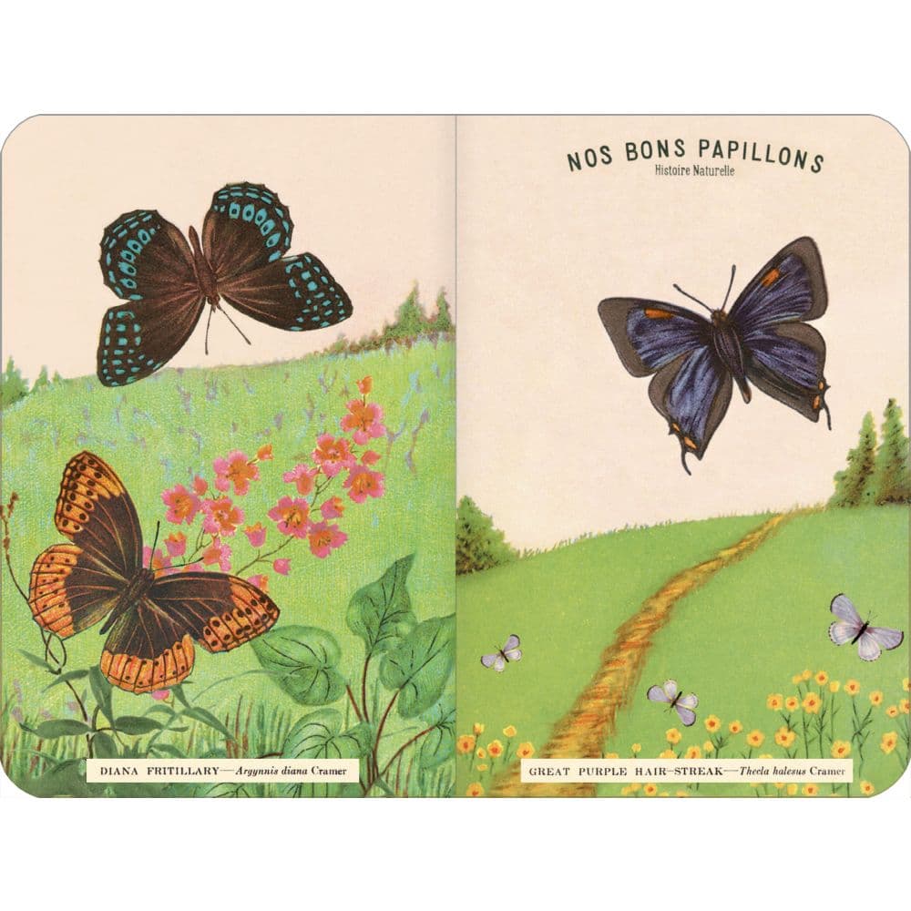 Butterflies Weekly 2025 Planner First Alternate Image width="1000" height="1000"