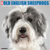 image Just Old English Sheepdogs 2025 Wall Calendar Main Image