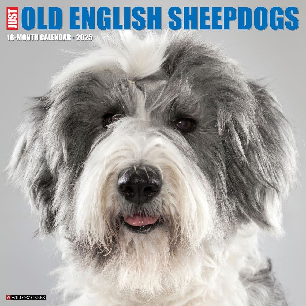 Just Old English Sheepdogs 2025 Wall Calendar Main Image