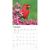 image Cardinals 2025 Wall Calendar