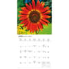 image Sunflowers Special Value 2026 Mini Wall Calendar Second Alternate Image