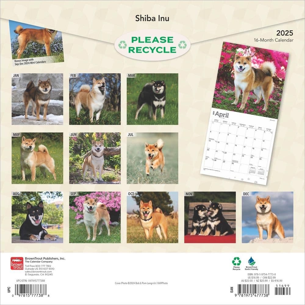 Shiba Inu 2025 Wall Calendar First Alternate Image