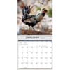 image Fancy Chickens Photo 2026 Wall Calendar