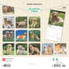 image Golden Retrievers 2025 Wall Calendar