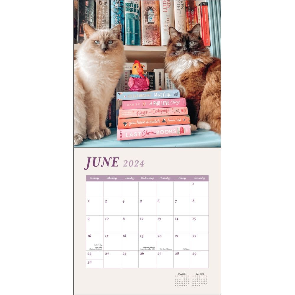 cats-and-books-2024-wall-calendar-alt3