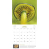 image Wondrous World of Mushrooms 2027 Wall Calendar Fourth Alternate Image
