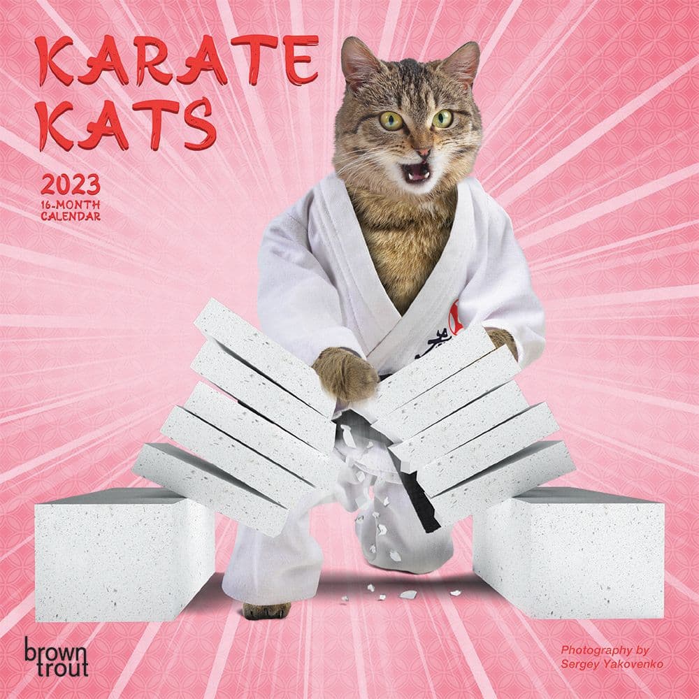 BrownTrout Karate Cats 2023 Mini Wall Calendar
