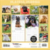 image Playful Puppies 2026 Wall Calendar_ALT1