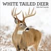 image White Tailed Deer 2026 Wall Calendar_Main Image