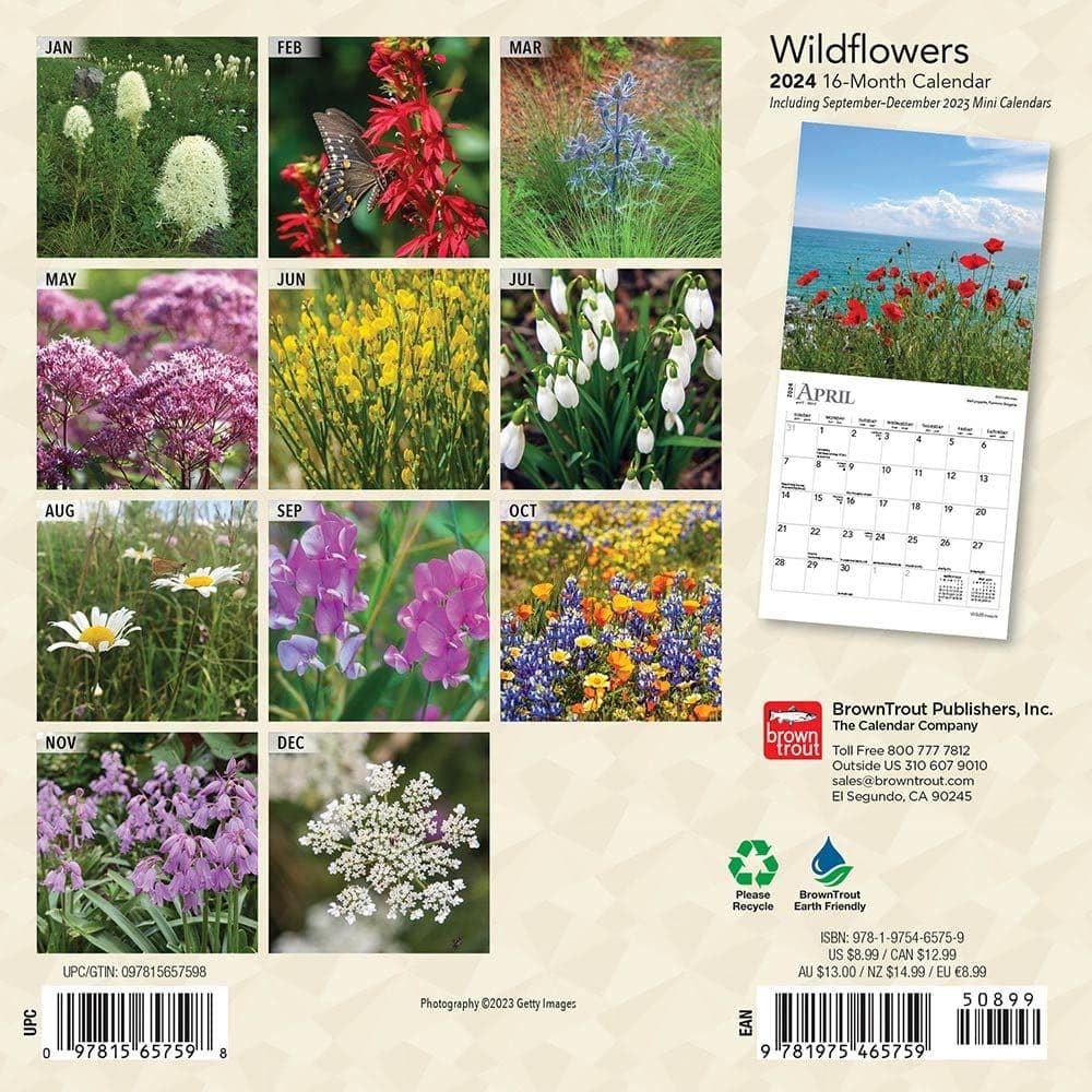 Wildflowers 2024 Mini Wall Calendar First Alternate Image width=&quot;1000&quot; height=&quot;1000&quot;