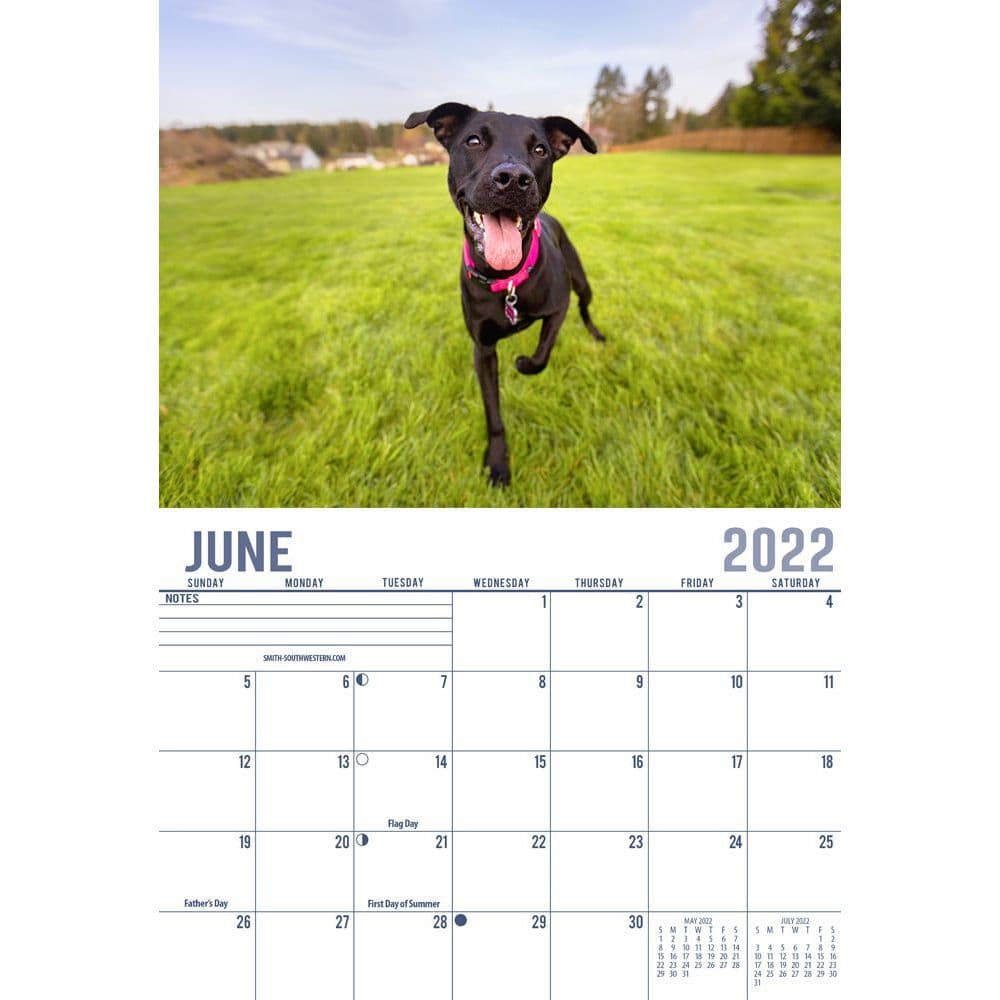 Puppy Calendar 2022 2022 Calendar One Page