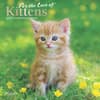 image Kittens For the Love Plato 2025 Mini Wall Calendar front Cover