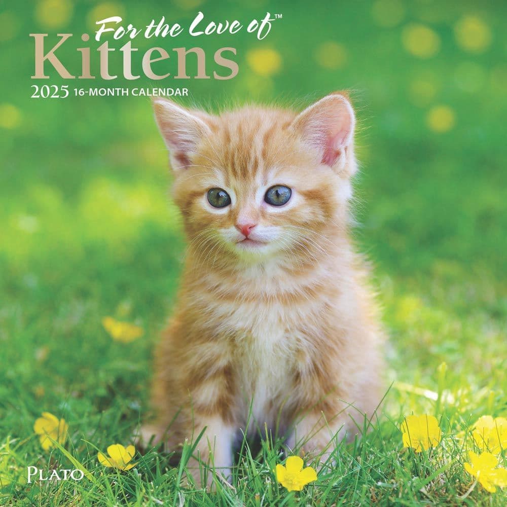 Kittens For the Love Plato 2025 Mini Wall Calendar front Cover