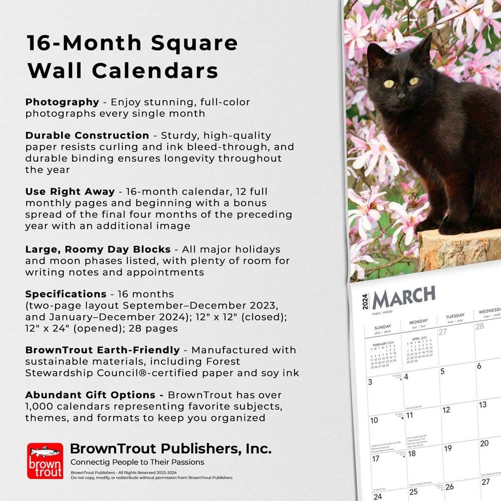 Black Cats 2024 Wall Calendar Alternate Image 4