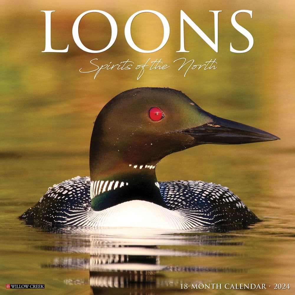 Loons 2024 Wall Calendar