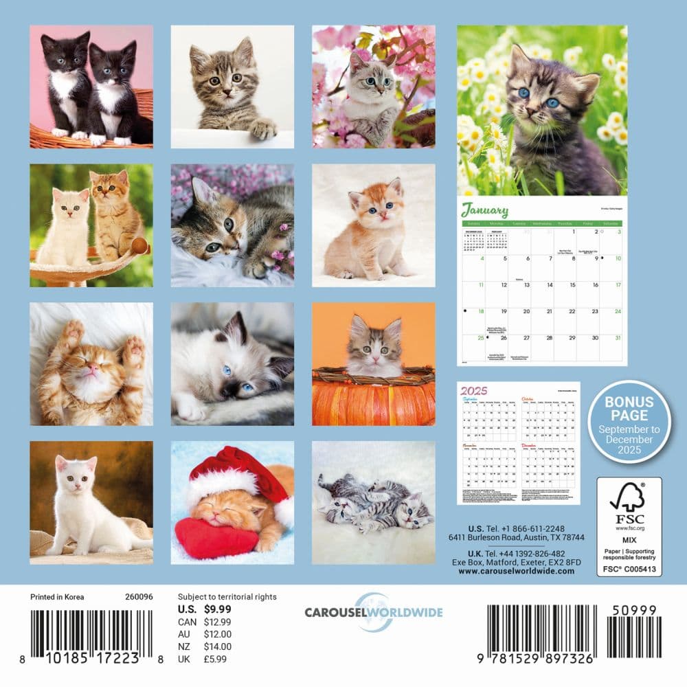 Kittens 2026 Mini Wall Calendar First Alternate Image
