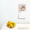 image Basset Hound 2025 Mini Wall Calendar Fourth Alternate Image width=&quot;1000&quot; height=&quot;1000&quot;