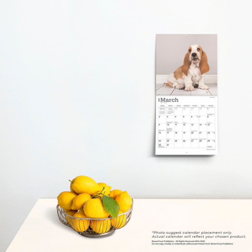 Basset Hound 2025 Mini Wall Calendar Fourth Alternate Image width=&quot;1000&quot; height=&quot;1000&quot;