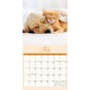 image Naptime 2025 Wall Calendar Third Alternate Image width=&quot;1000&quot; height=&quot;1000&quot;