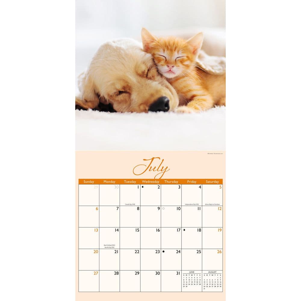 Naptime 2025 Wall Calendar Third Alternate Image width=&quot;1000&quot; height=&quot;1000&quot;