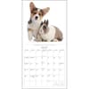 image Bunnies and Friends 2024 Wall Calendar Third Alternate Image width=&quot;1000&quot; height=&quot;1000&quot;