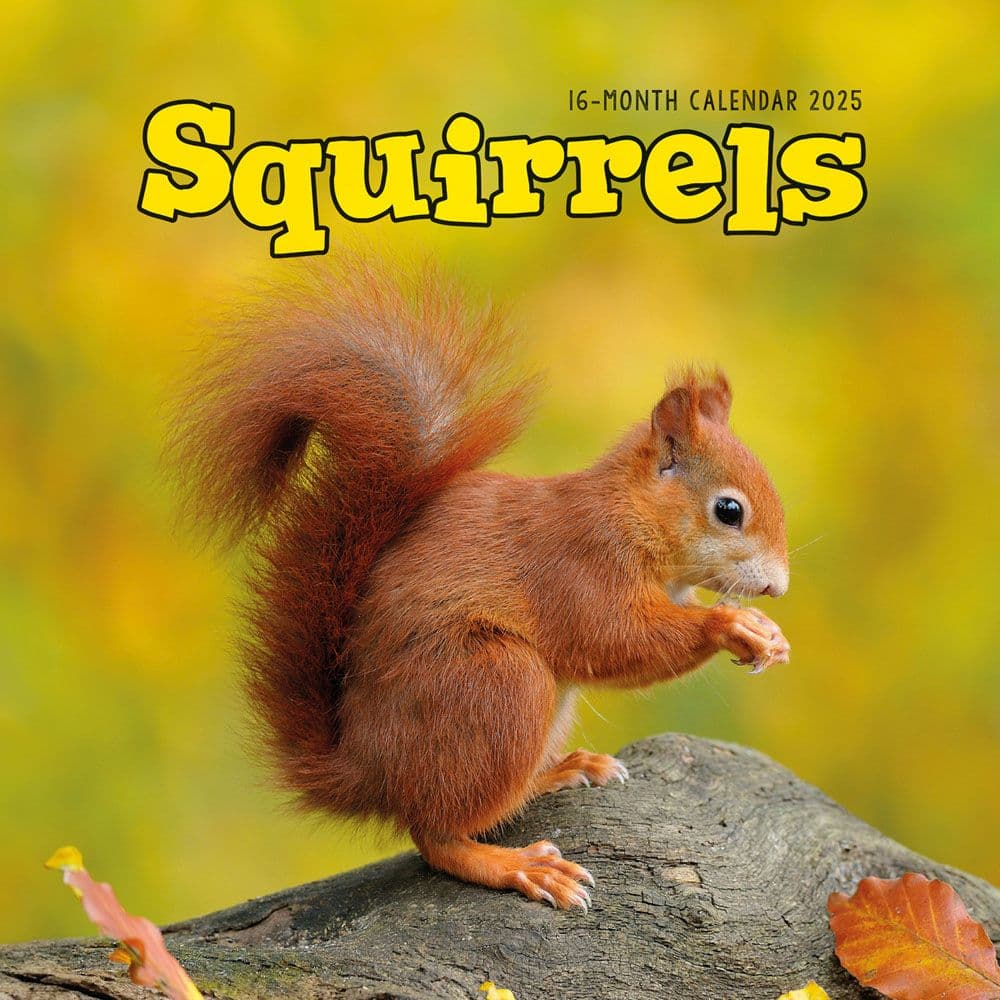 image Squirrels 2025 Wall Calendar  Main Image