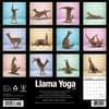 image Llama Yoga 2025 Wall Calendar First Alternate Image width=&quot;1000&quot; height=&quot;1000&quot;