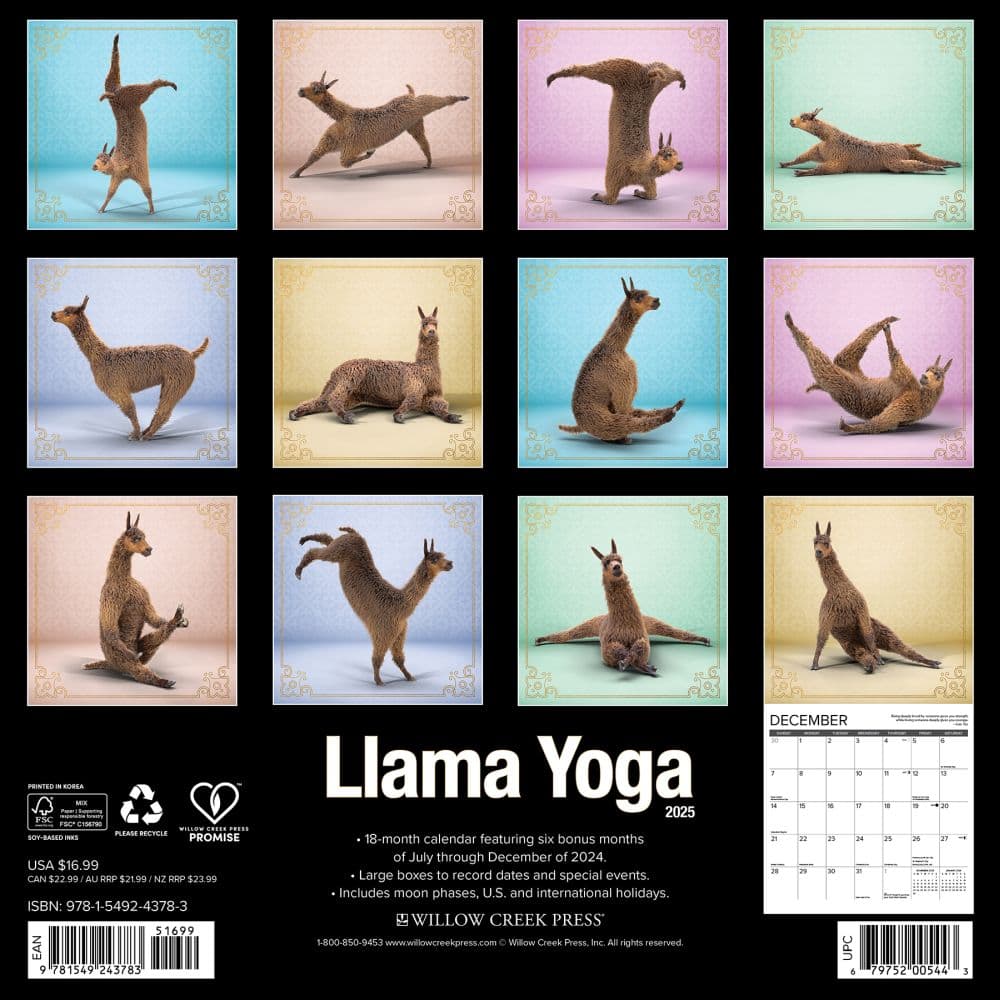 Llama Yoga 2025 Wall Calendar First Alternate Image width=&quot;1000&quot; height=&quot;1000&quot;