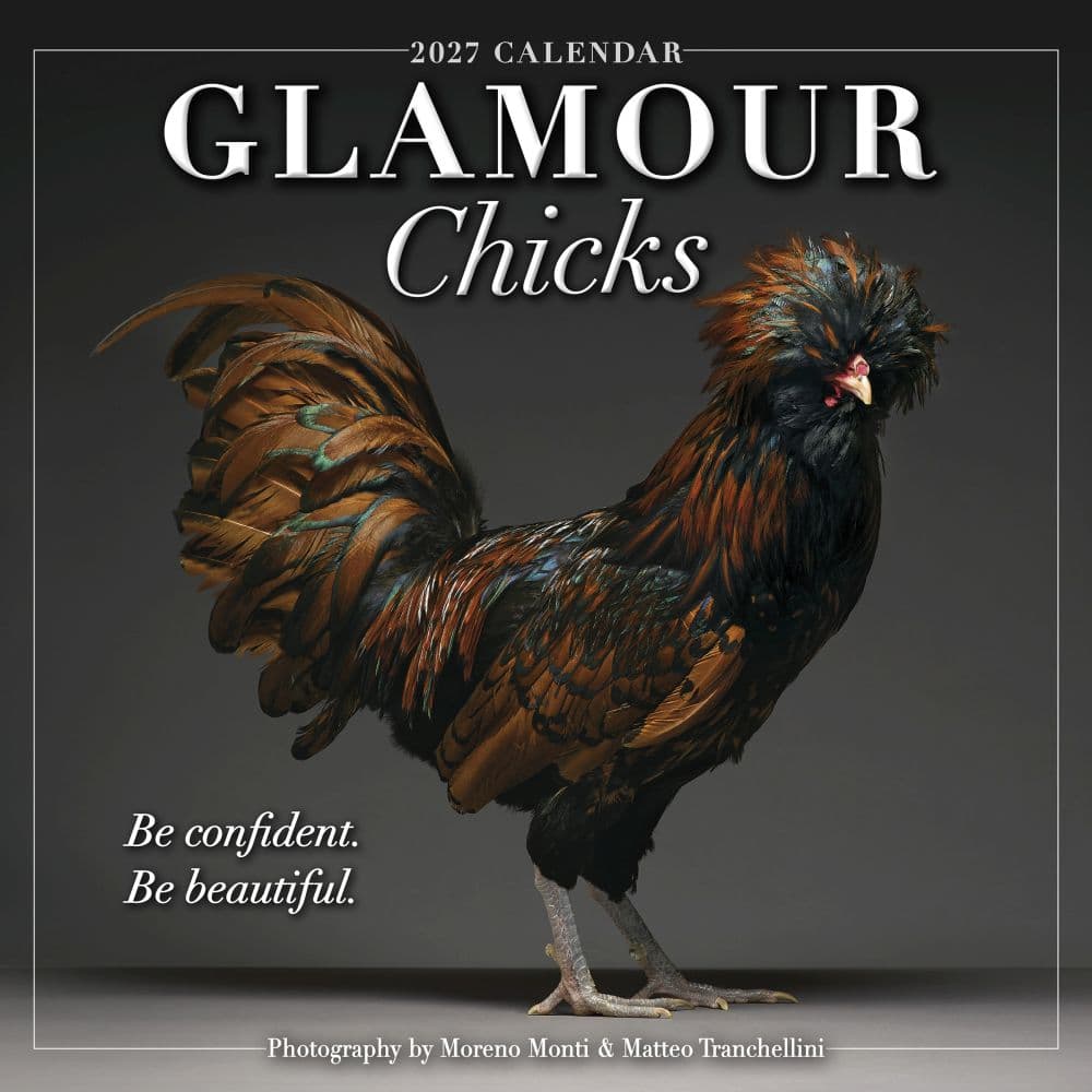 image Glamour Chicks 2027 Wall Calendar Main Product Image
