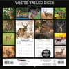 image White Tailed Deer 2026 Wall Calendar_ALT1