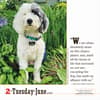 image Dogs 365 2026 Desk Calendar Third Alternate Image