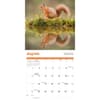 image Squirrels 2025 Wall Calendar Third Alternate Image width=&quot;1000&quot; height=&quot;1000&quot;