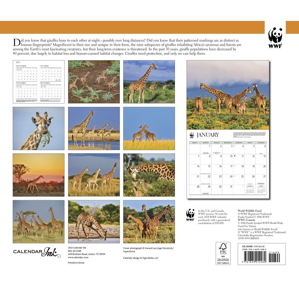 Giraffes WWF 2024 Wall Calendar