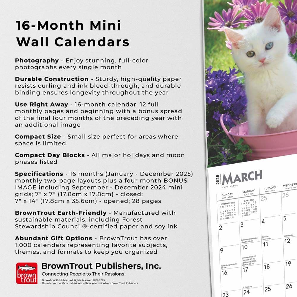 Kittens Love of 2025 Mini Wall Calendar Fifth Alternate Image width=&quot;1000&quot; height=&quot;1000&quot;