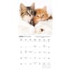 image Kittens I Love 2026 Wall Calendar Third Alternate Image
