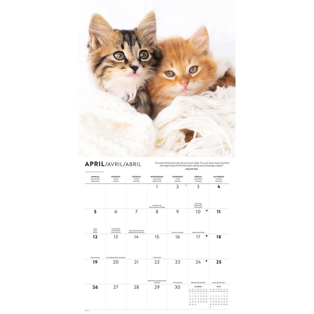Kittens I Love 2026 Wall Calendar Third Alternate Image