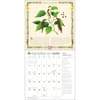 image Kitchen Witch 2026 Wall Calendar Third Alternate Image