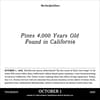 image New York Times Headlines in History 2026 Desk Calendar Second Alternate Image