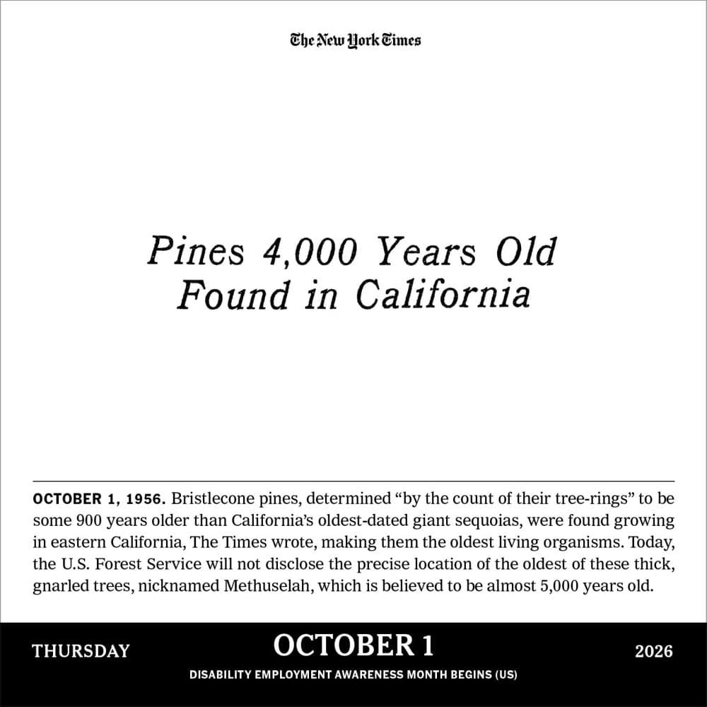 New York Times Headlines in History 2026 Desk Calendar Second Alternate Image