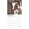 image Baby Moo Moos 2025 Wall Calendar