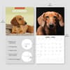 image Dachshunds 2026 Wall Calendar Fourth Alternate Image